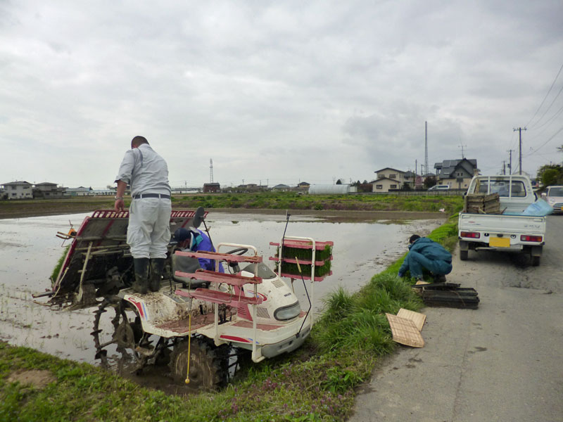 20130501taue1.jpg