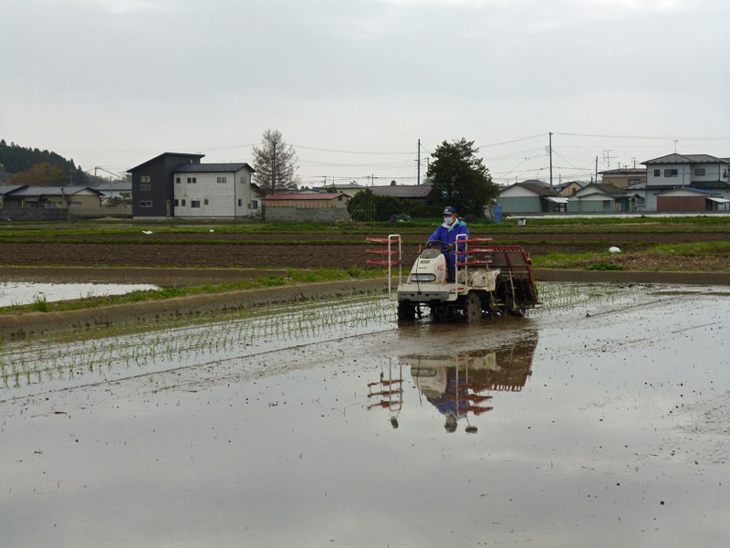 20130501taue2.jpg